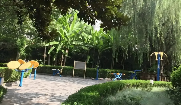 宫心锦绣