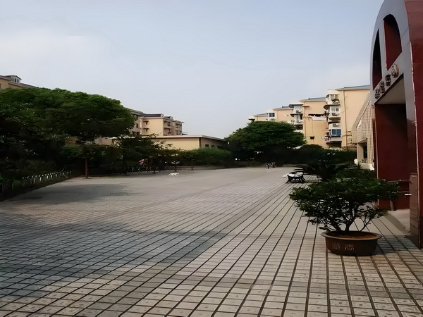 追缉酷总裁